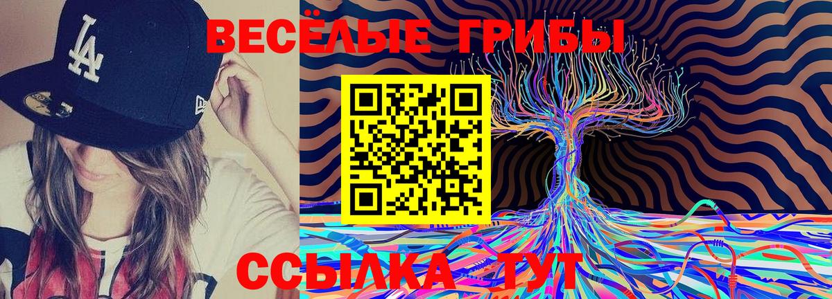 Галлюциногенные грибы GOLDEN TEACHER Чебаркуль