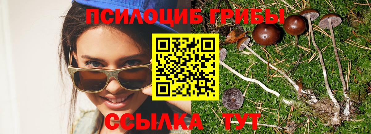 Псилоцибиновые грибы Psilocybine cubensis  Галлюциногенные грибы мухоморы  Чебаркуль  Вход с VPN 